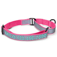 Pawtitas Personalized Reflective Martingale Dog Collar