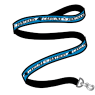 Pets First Carolina Panthers Satin Dog Leash
