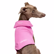 Canada Pooch