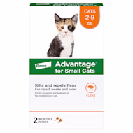 Advantage