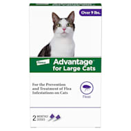 Advantage 2 best sale for cats petco