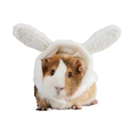 Small Animal Clothes Leashes Rabbits Guinea Pigs Petco