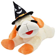 Multipet International