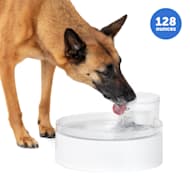PetSafe