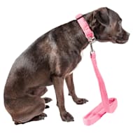 Pet Life 'Aero Mesh' 2-in-1 Dual Sided Comfortable and Breathable Adjustable Mesh Dog Leash and Collar