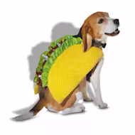 Petco