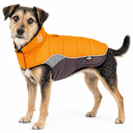 Dog Helios Hurricane-Waded Plush 3M Reflective Dog Coat w/ Blackshark Technology