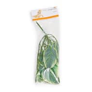 Imagitarium Plant with Suction Cup Terrarium Decor
