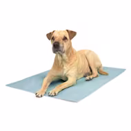 Petco