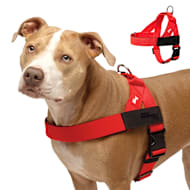 Dog Friendly Co Chafe Resistant Webbing, Adjustable Neck & Chest, and Heavy Duty D-Ring Dog Harness