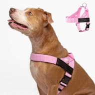 Dog Friendly Co Chafe Resistant Webbing, Adjustable Neck & Chest, and Heavy Duty D-Ring Dog Harness