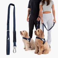 Dog Friendly Co Bungee Dog Leash