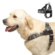 Dog Friendly Co Chafe Resistant Webbing, Adjustable Neck & Chest, and Heavy Duty D-Ring Dog Harness