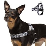 Dog Friendly Co Chafe Resistant Webbing, Adjustable Neck & Chest, and Heavy Duty D-Ring Dog Harness