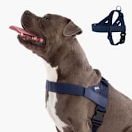Dog Friendly Co Chafe Resistant Webbing, Adjustable Neck & Chest, and Heavy Duty D-Ring Dog Harness