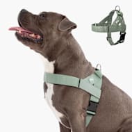 Dog Friendly Co Chafe Resistant Webbing, Adjustable Neck & Chest, and Heavy Duty D-Ring Dog Harness