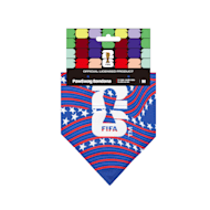 FIFA
