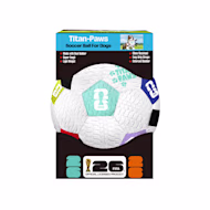 FIFA