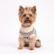 Reddy Cream Textured Gradient Knit Pet Sweater