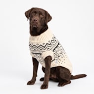 Reddy Cream Textured Gradient Knit Pet Sweater