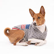 Reddy American Flag Hooded Pet Sweater