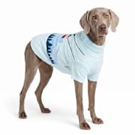 Reddy Ski Scene Jacquard Knit Pet Sweater