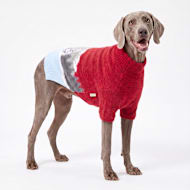 Reddy Snowy Scene Jacquard Knit Pet Sweater