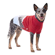 Reddy Snowy Scene Jacquard Knit Pet Sweater