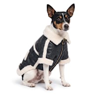 Reddy Sherpa Lined Aviator Pet Jacket