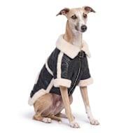 Reddy Sherpa Lined Aviator Pet Jacket
