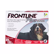 FRONTLINE