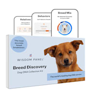 Wisdom mixed breed dna test online