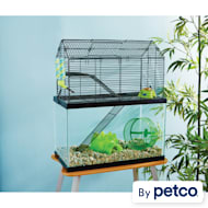 Good 2025 mouse cages