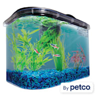 Petco small fish tanks top