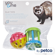 Best 2025 ferret toys