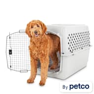 Dog Crates Kennels XS To XXL Crates Petco