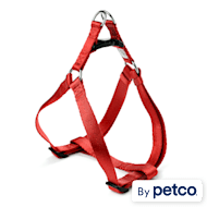 Dog Harnesses: No-Pull, Service Dog Vest, Front Clip | Petco