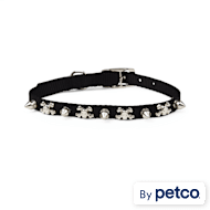 Petco spiked collar top