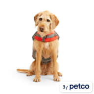 Swimsuit Tank Top Bathing Suit Puppy Pet Life Vest Dog Water Vest Dog Swimwear  Shark Fin Adjustable : : Pet Supplies