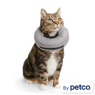 Cat Cones Recovery Cat Cones Collars Petco