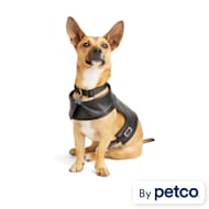 Dog Harnesses: No-Pull, Service Dog Vest, Front Clip | Petco