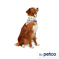 Dog Bandanas & Scarves: Reversible, Cooling, Camo & More! | Petco