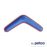 Kong frisbee petco cheap