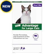 Advantage multi for cats petco sale