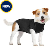 Zen online collar petco