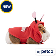 Bunny online harness petco