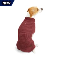 Dog sweaters near me clearance