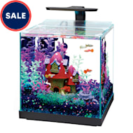 Petco $1 gallon online sale