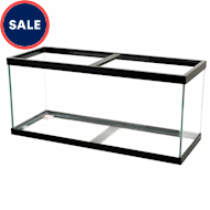 40 gallon fish tank petco sales