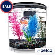 2 gallon deals fish bowl